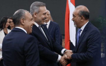 Türkiye-Mısır Ortak Planlama Grubu