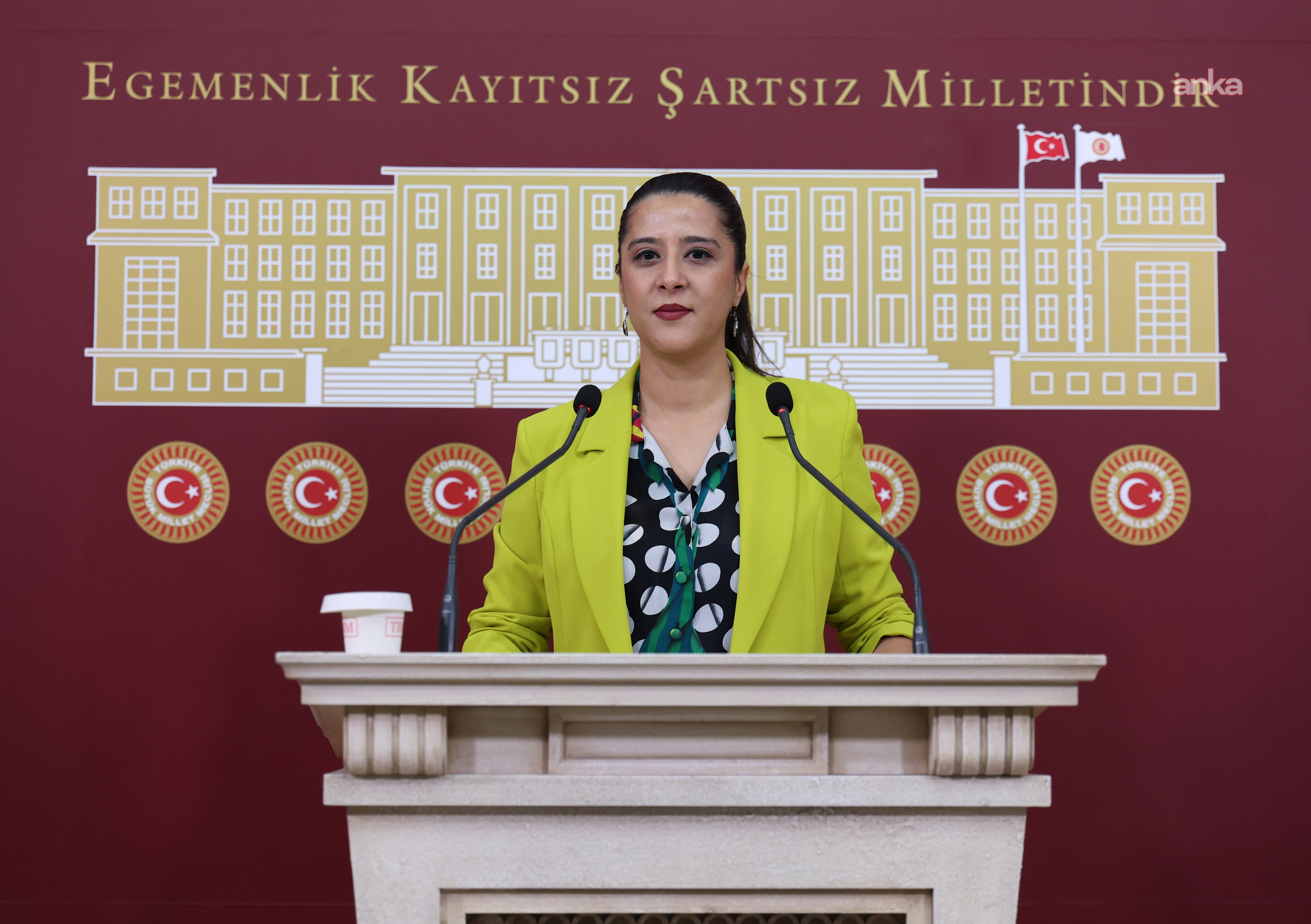 şiddet iddiası
