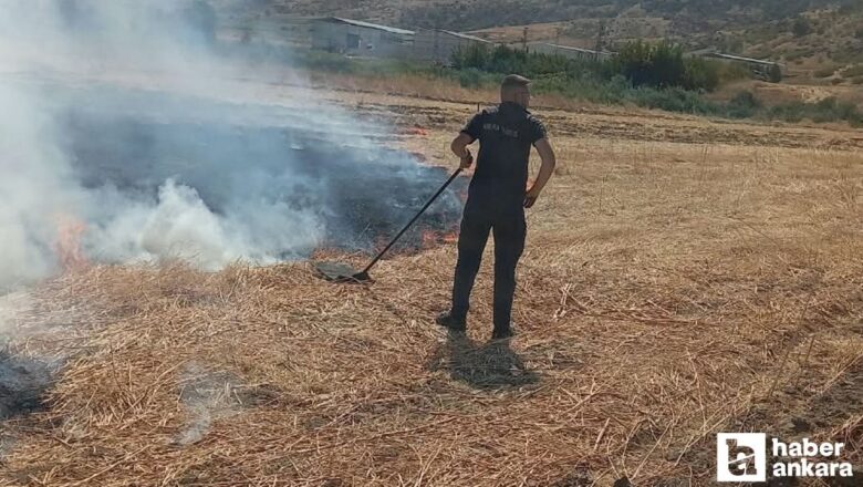 anız yangını