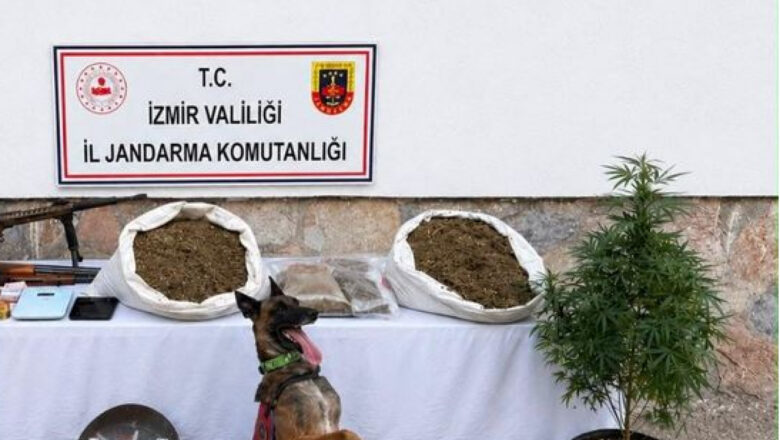 Uyuşturucu Operasyonu
