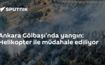 Gölbaşı yangını