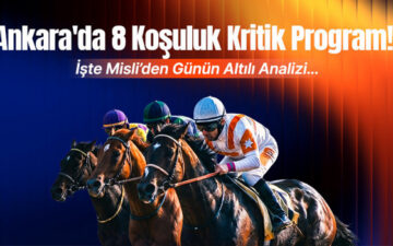 Ankara 8 koşuluk