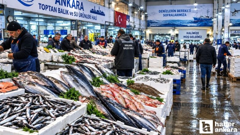 balık sezonu