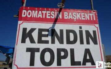 Ayaş domatesi