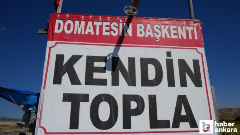 Ayaş domatesi