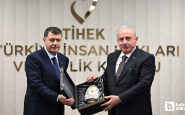 İnsan Hakları