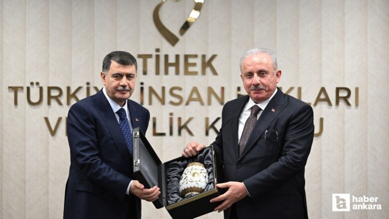İnsan Hakları