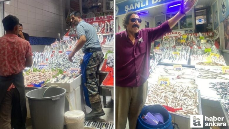 en taze balık