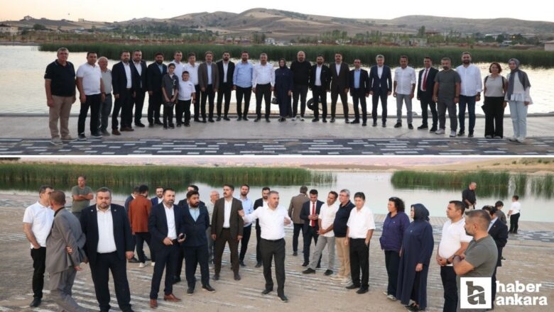 Güneş Enerji Santrali